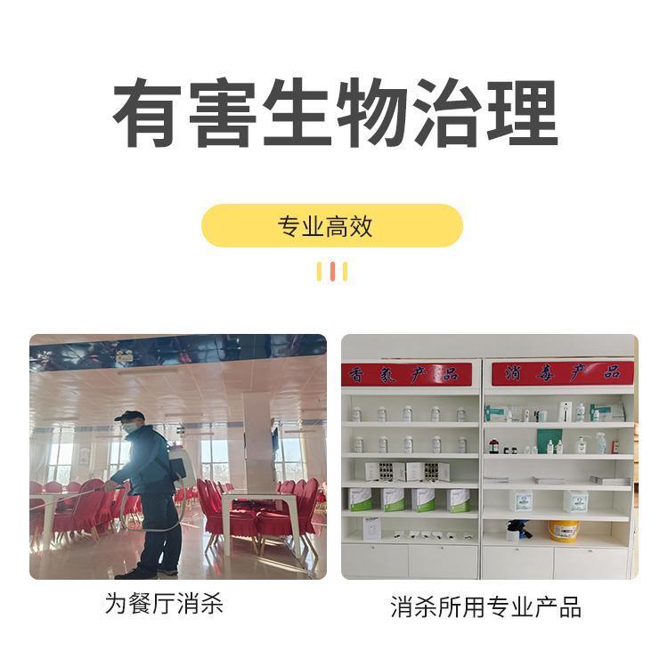 专业上门除四害服务 生活区灭蟑螂、灭鼠与虫害防治全指南