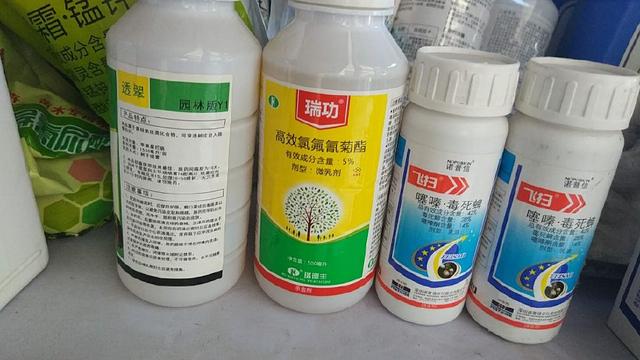 十月份园林植物病虫害防治技术与秋冬季防寒保温要点