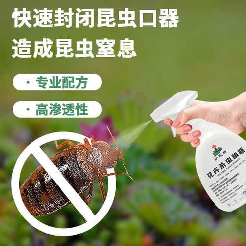 用对“护花神”，巧治家养花卉常见虫害 蚜虫、蚧壳虫与小黑飞全攻略