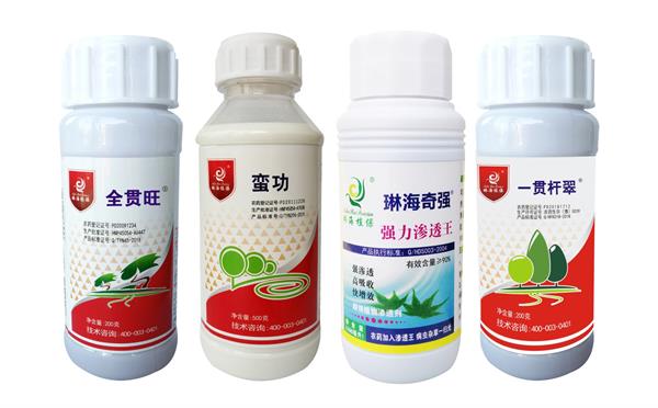 棕榈红棕象甲高工效防治服务全攻略 科学应对虫害，守护移植植株健康