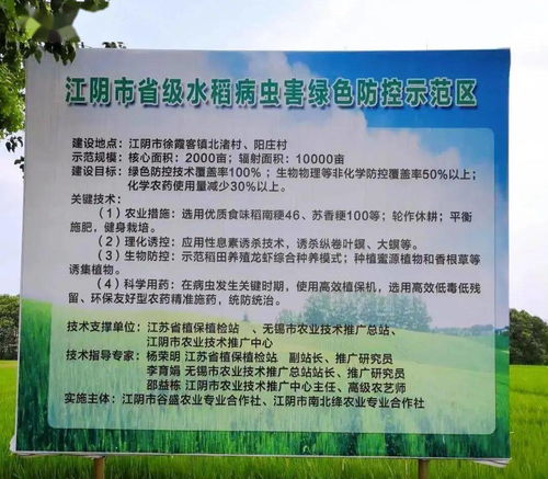 江阴市农业农村局 精准施策，扎实做好水稻穗期病虫害防治工作