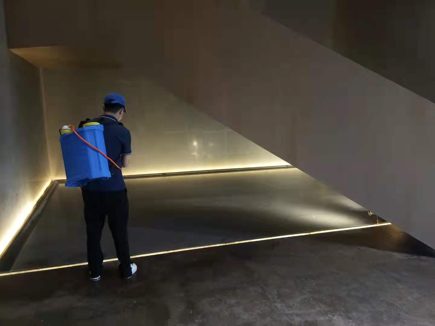 西安白蚁防治 万径灭白蚁，稳健之力解虫患