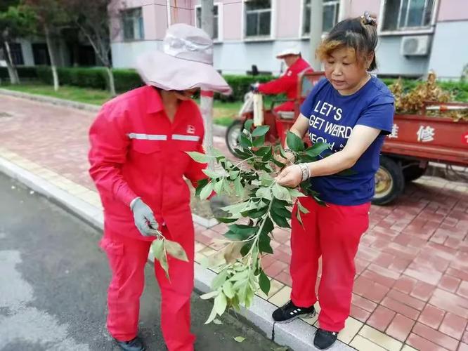 滨南服务部时新春服务班 病虫害防治不松懈，绿色守护在行动