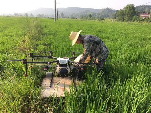 科技赋能农业 霍山种粮大户利用无人机开展虫害防治服务