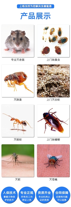 厦门效率高的虫害控制消杀公司